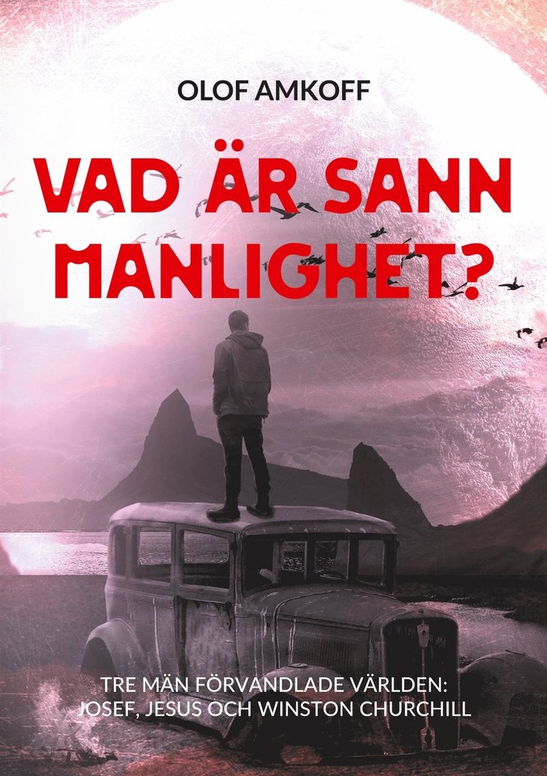 Olof Amkoff - Vad är sann manlighet?: Mansseminarium om biblisk manlighet., E-bok