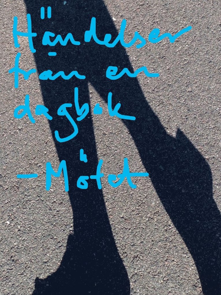 Linn Thåsa - Händelser från en dagbok: Mötet, E-bok