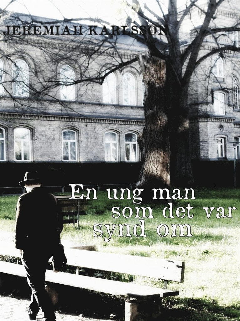 Jeremiah Karlsson - En ung man som det var synd om: novell, E-bok