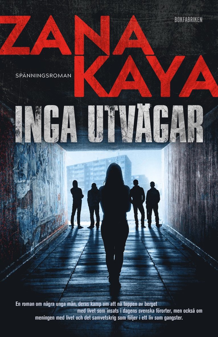Zana Kaya - Inga utvägar, E-bok