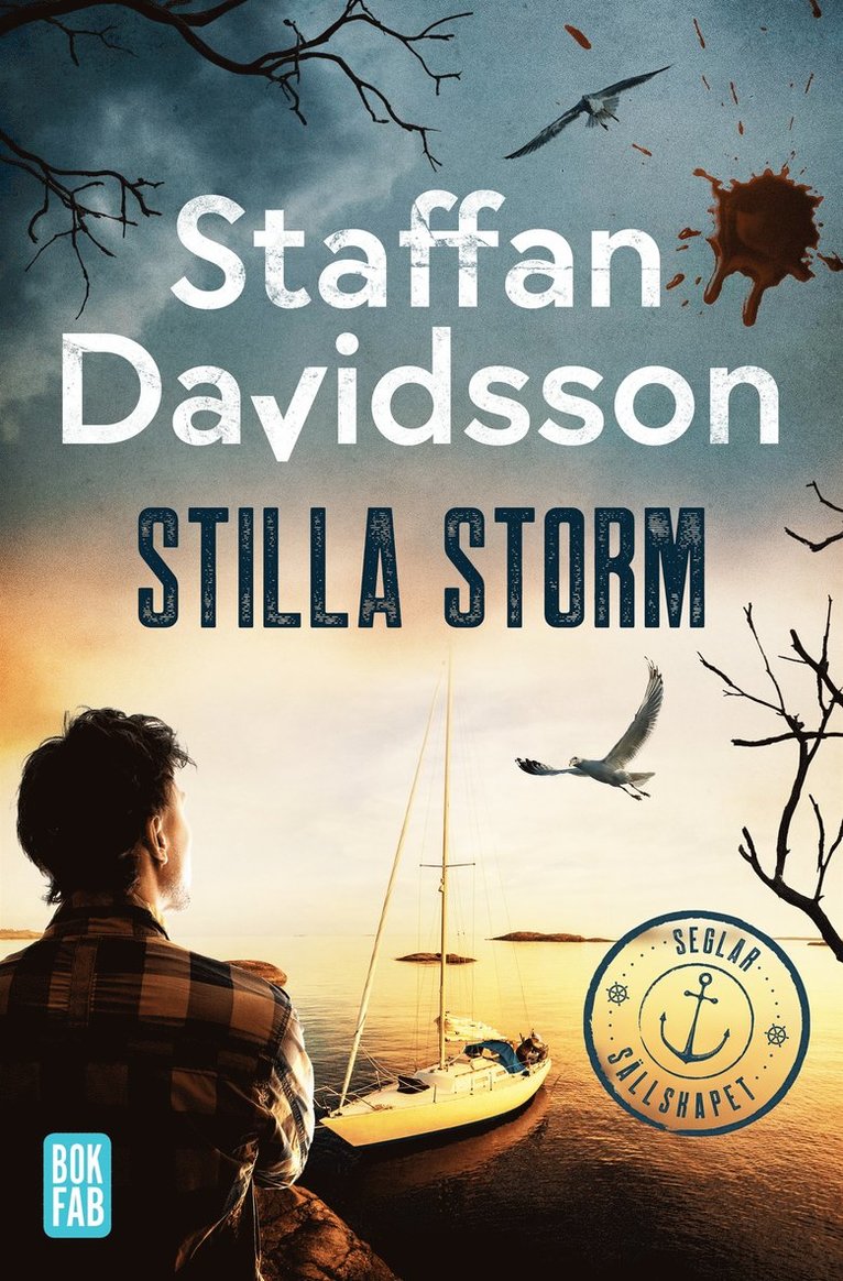 Staffan Davidsson - Stilla storm, E-bok