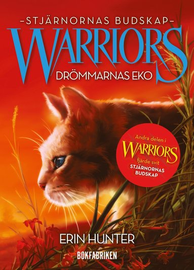 Erin Hunter Warriors 4:2. Drömmarnas eko