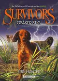 Osäker stig