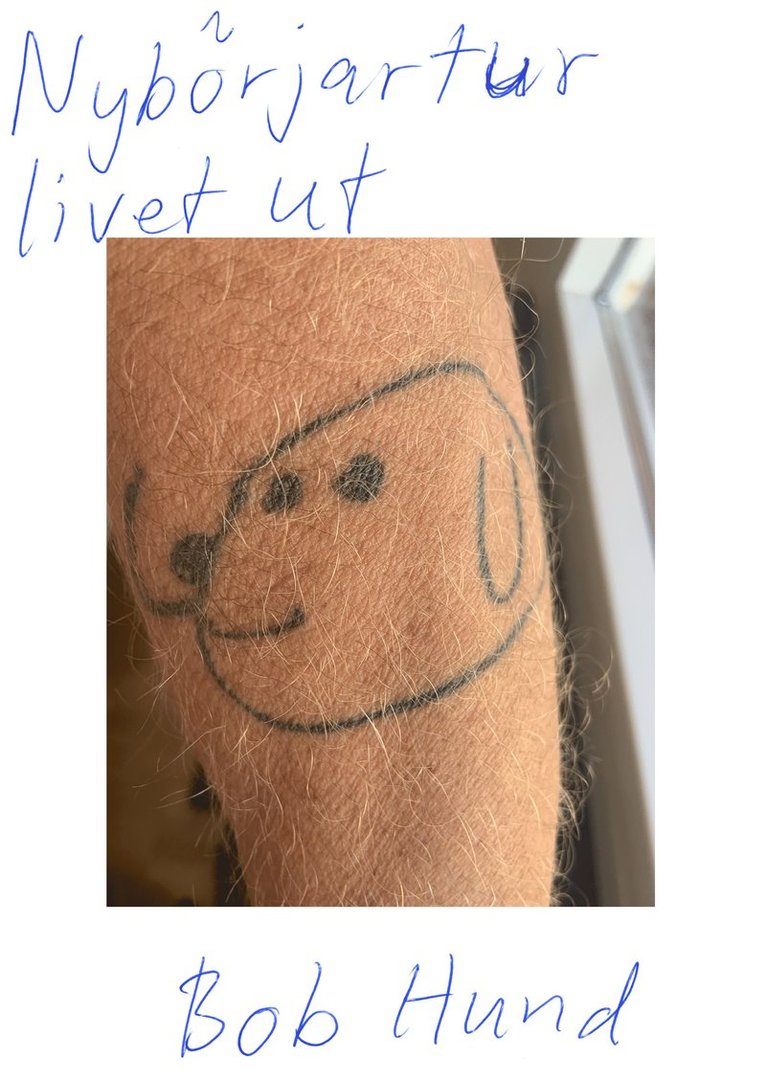 Johnny Essing, Christian Gabel, Mats Hellquist, Jonas Jonasson, Conny Nimmersjö, Thomas Öberg - Bob Hund : nybörjartur livet ut, Inbunden