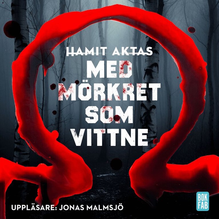 Hamit Aktas - Med mörkret som vittne, Ljudbok