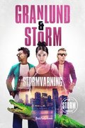 Stormvarning