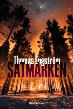 Thomas Engström - Satmarken, E-bok