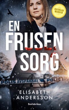 Elisabeth Andersson - En frusen sorg, E-bok