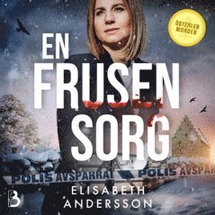 Elisabeth Andersson - En frusen sorg, Ljudbok