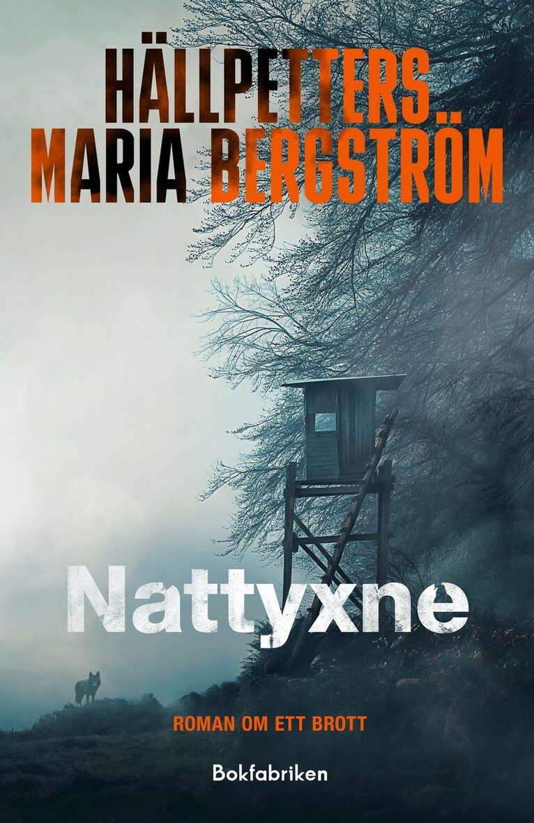 Hällpetters Maria Bergström - Nattyxne, Inbunden