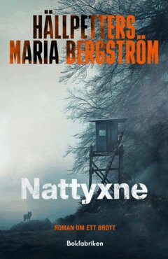 Hällpetters Maria Bergström - Nattyxne, E-bok