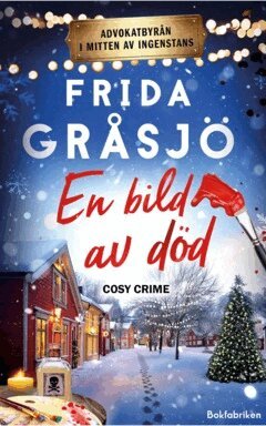 Frida Gråsjö - En bild av död, E-bok