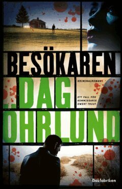 Dag Öhrlund - Besökaren, E-bok