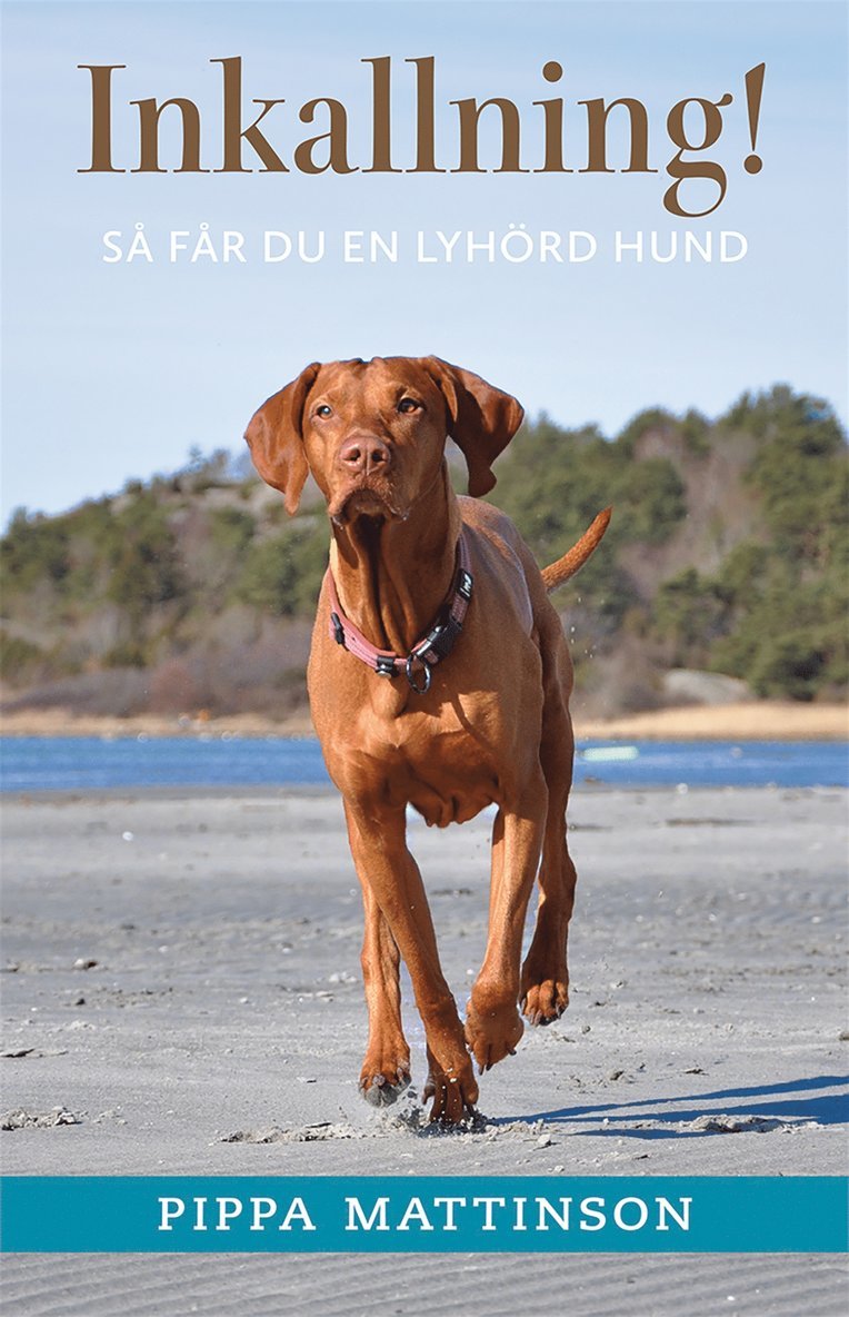 Pippa Mattinson - Inkallning! : så får du en lyhörd hund, E-bok