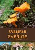 Svampar i Sverige & Nordeuropa