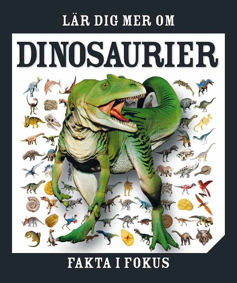 Lär dig mer om dinosaurier, Inbunden
