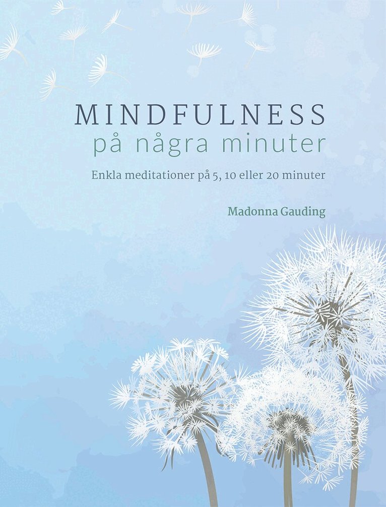 Madonna Gauding - Mindfulness på några minuter, Inbunden