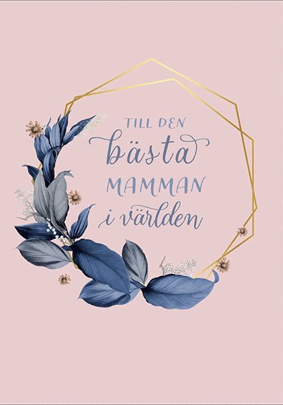 Till den bästa mamman i världen, Inbunden