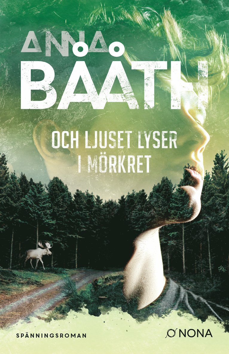 Anna Bååth - Och ljuset lyser i mörkret, E-bok