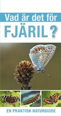 Vad r det fr fjril?