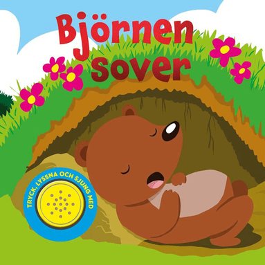 Björnen sover, Kartonnage