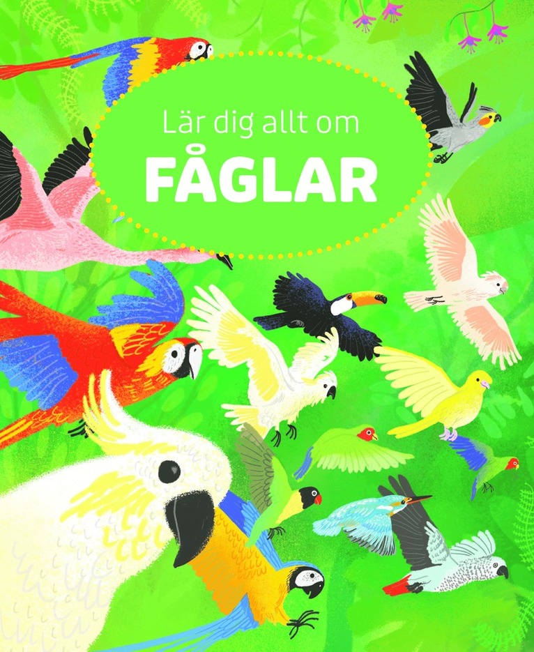 Polly Cheeseman - Lär dig allt om fåglar (Läs & lyssna), E-bok