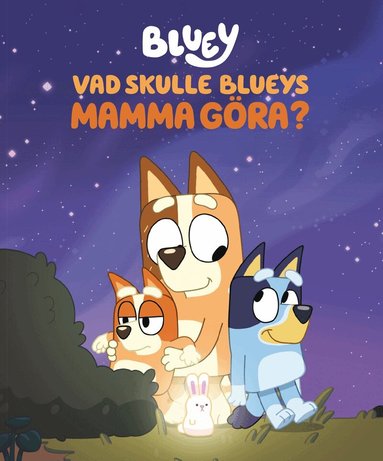 Vad skulle Blueys Mamma göra?, Inbunden