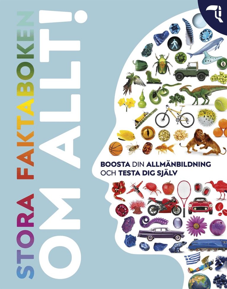 Peter Chrisp, Clive Gifford, Derek Harvey, Andrea Mills, John Woodward - Stora faktaboken om allt!, E-bok