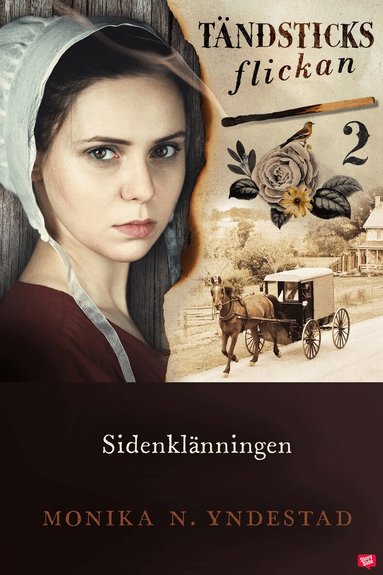 Monika N. Yndestad - Sidenklänningen, E-bok