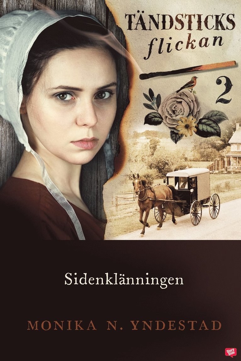 Monika N. Yndestad - Sidenklänningen, E-bok