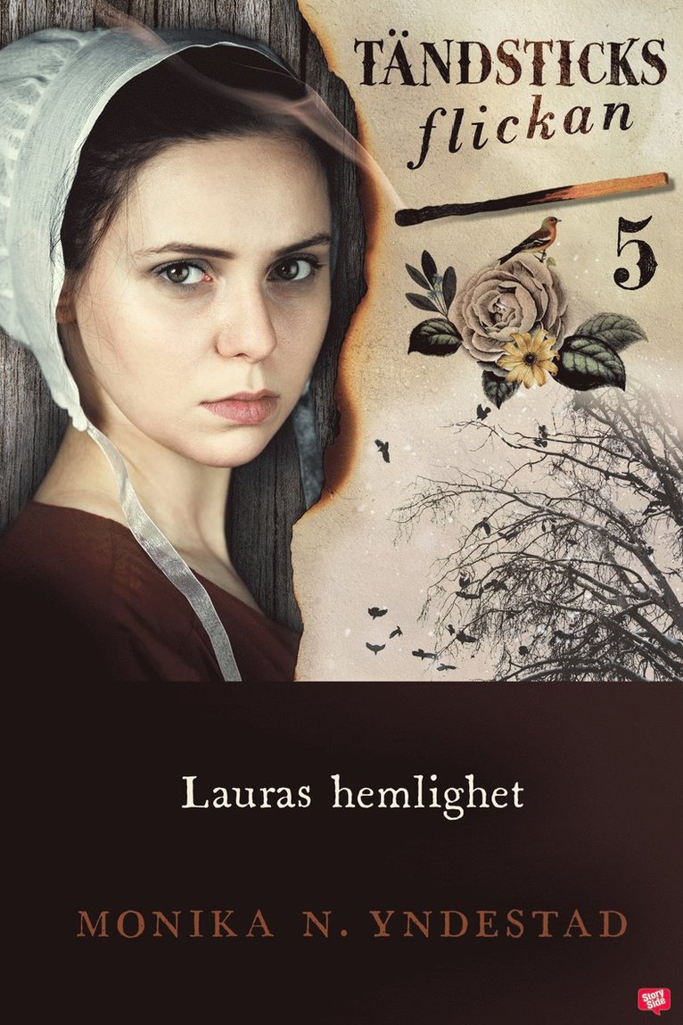Monika N. Yndestad - Lauras hemlighet, E-bok