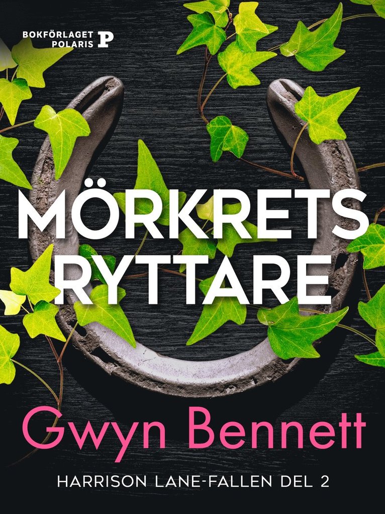 Gwyn Bennett - Mörkrets ryttare, E-bok