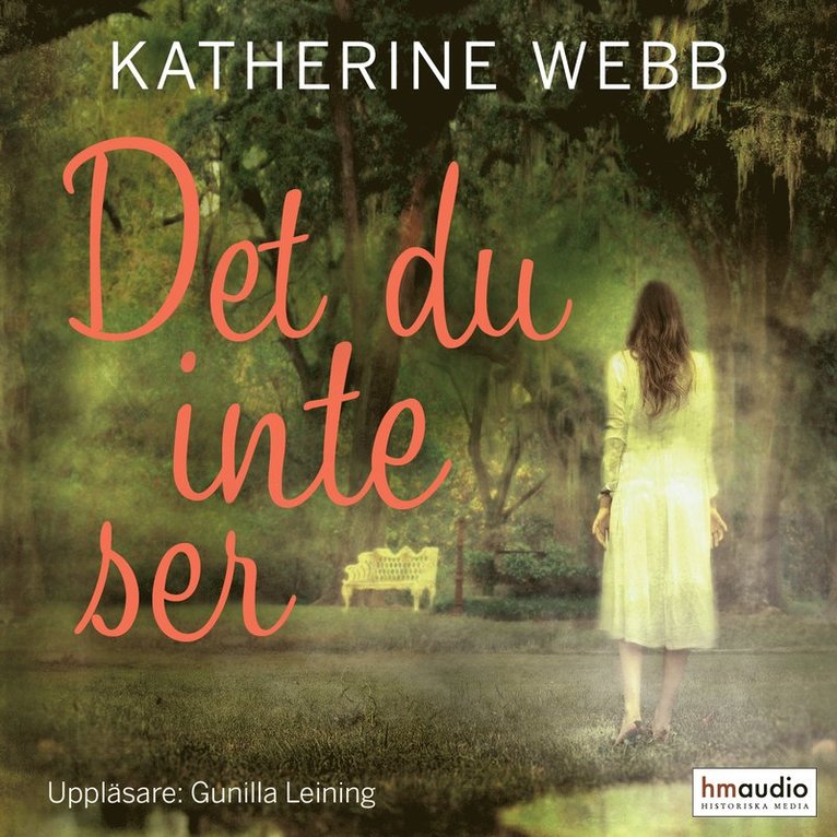 Katherine Webb - Det du inte ser, Ljudbok