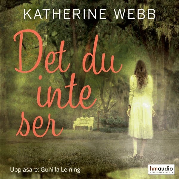 Katherine Webb - Det du inte ser, E-bok