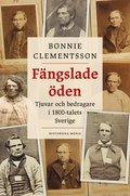 Fngslade den : Tjuvar och bedragare i 1800-talets Sverige