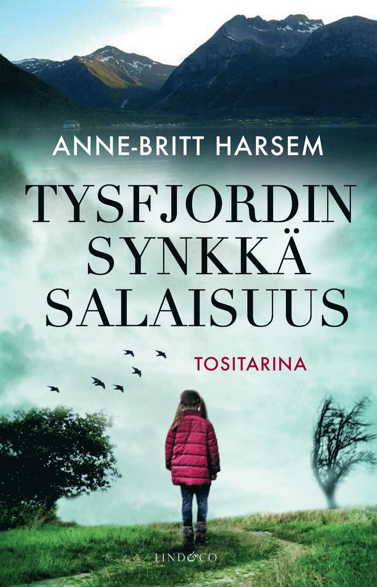 Anne-Britt Harsem - Tysfjordin synkkä salaisuus, E-bok