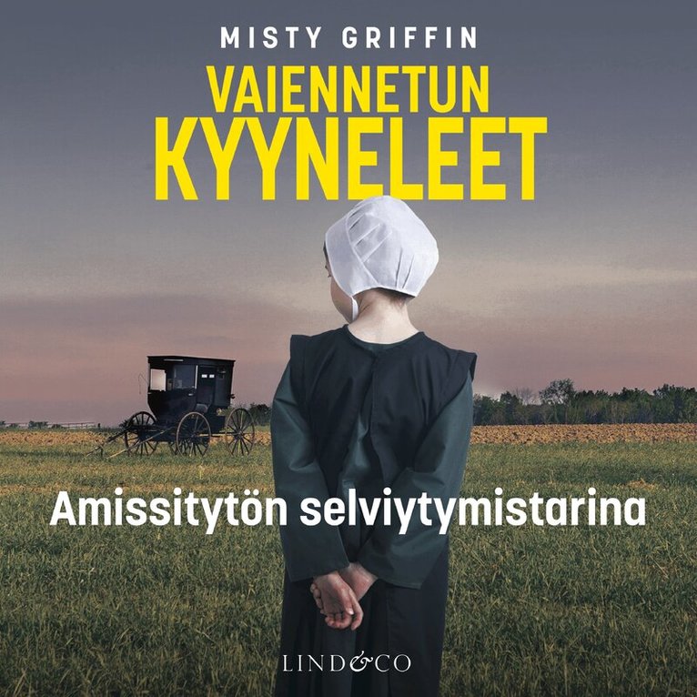 Misty Griffin - Vaiennetun kyyneleet, Ljudbok