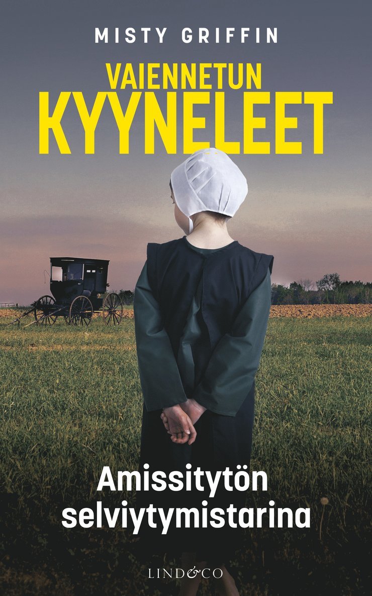 Misty Griffin - Vaiennetun kyyneleet, E-bok