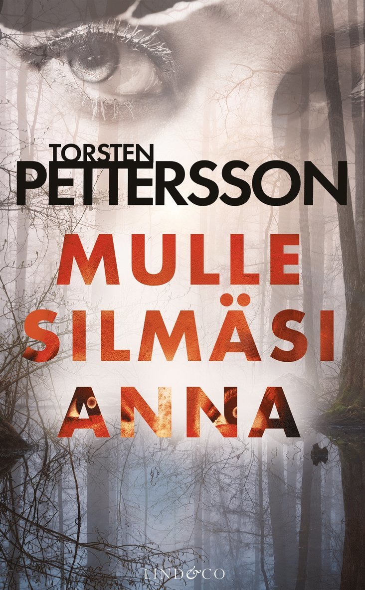 Torsten Pettersson - Mulle silmäsi anna, E-bok