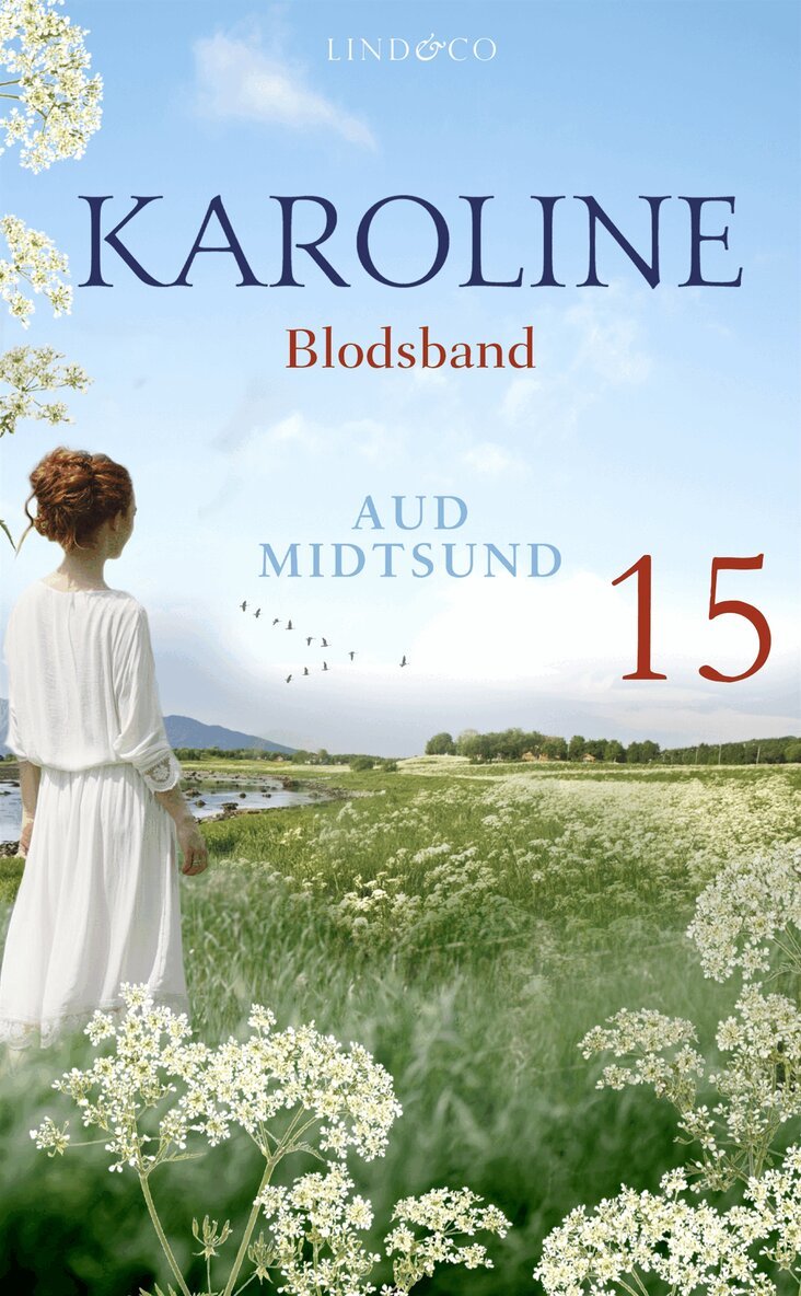 Aud Midtsund - Blodsband, E-bok
