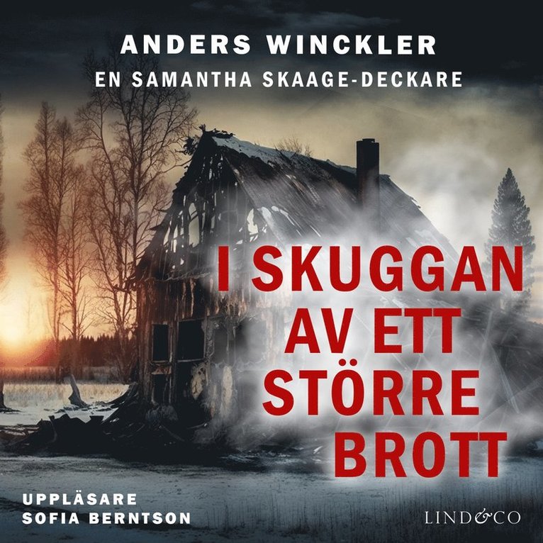 Anders Winckler - I skuggan av ett större brott, Ljudbok