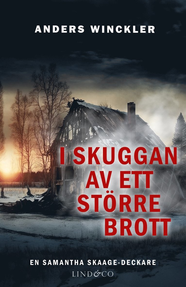 Anders Winckler - I skuggan av ett större brott, E-bok