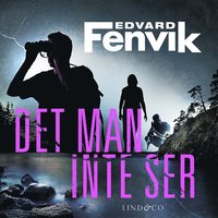 Det man inte ser 