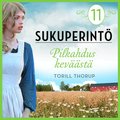 Pilkahdus kevst