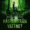 Hästen från vattnet 