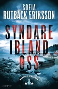 Syndare ibland oss