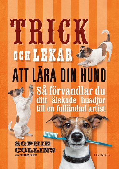 Trick och lekar att lära din hund : så förvandlar du ditt älskade husdjur..