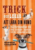 Trick och lekar att lra din hund : s frvandlar du ditt lskade husdjur..