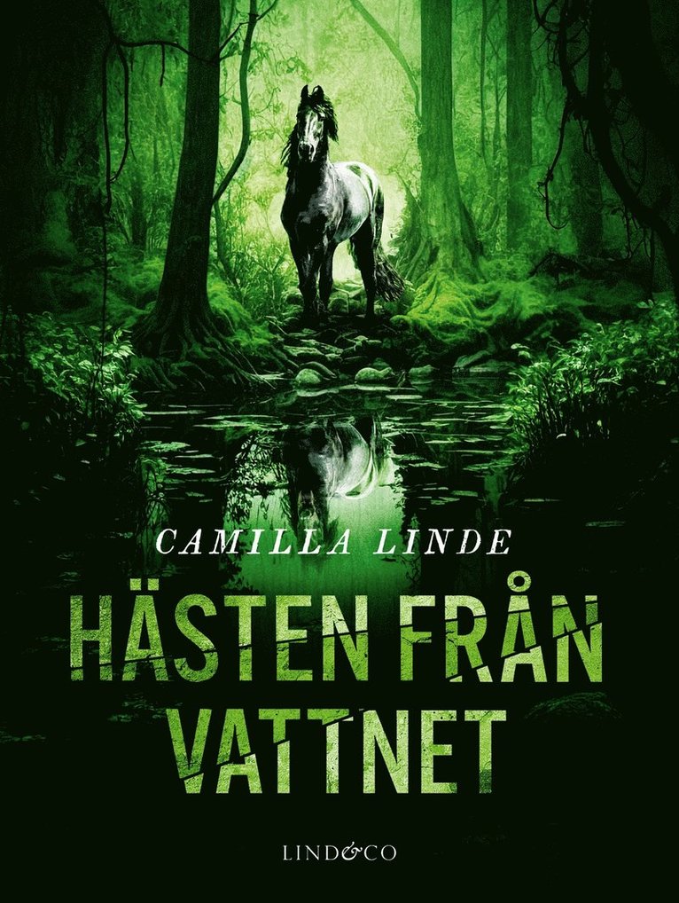 Camilla Linde - Hästen från vattnet, E-bok