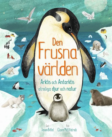 Jason Bittel - Den frusna världen : Arktis och Antarktis otroliga djur och natur, Inbunden